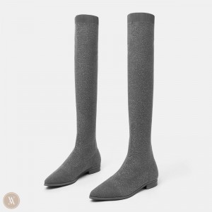 VIVAIA Michaelia Pointed-Toe Overknee Stiefel Damen Grau Deutschland | VTU-0171