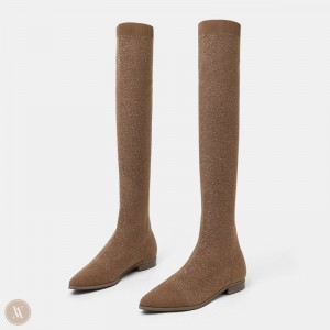 VIVAIA Michaelia Pointed-Toe Overknee Stiefel Damen Braun Deutschland | CJJ-7753